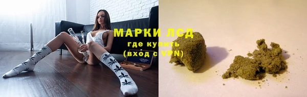 гидра Алзамай