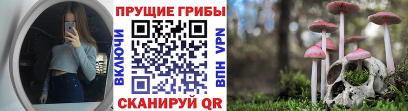 Псилоцибиновые грибы мицелий  Котельники 